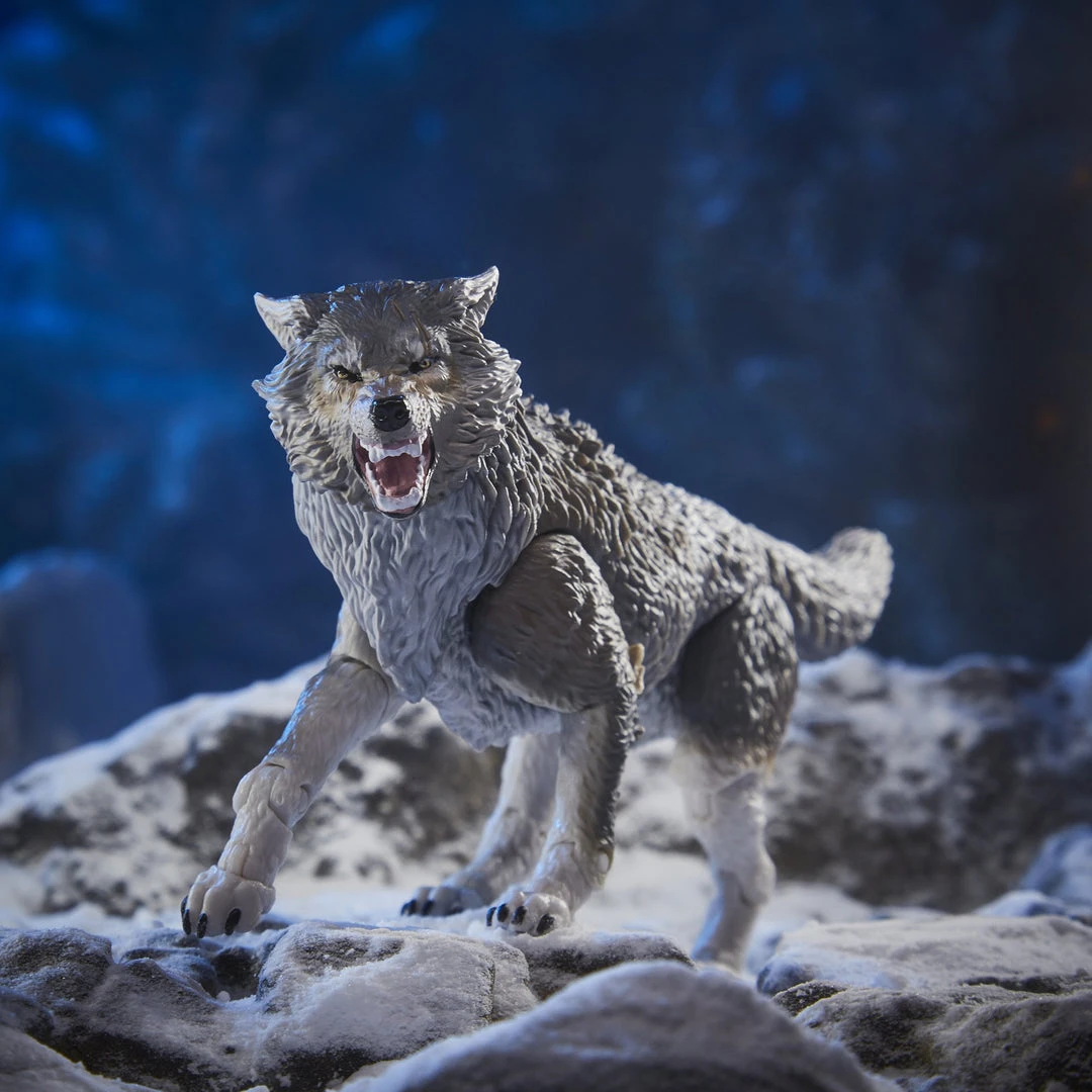 Hasbro G.I. Joe Classified Series Snake Eyes & Timber Wolf Set 6 Hasbro G.I. Joe Classified Series Snake Eyes & Timber Wolf Set