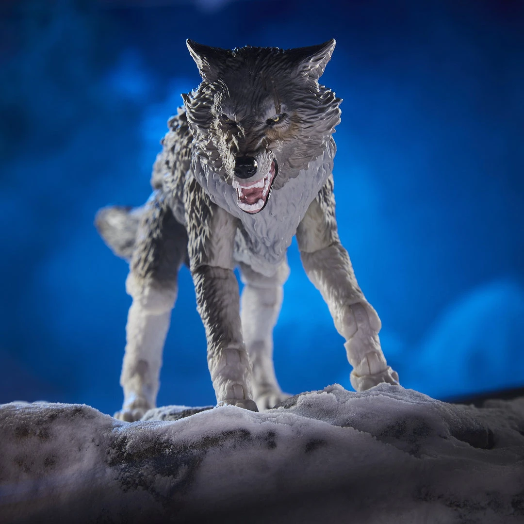 Hasbro G.I. Joe Classified Series Snake Eyes & Timber Wolf Set 7 Hasbro G.I. Joe Classified Series Snake Eyes & Timber Wolf Set